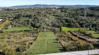 /international/pt/leiria-leiria-310108923077/?lang=de