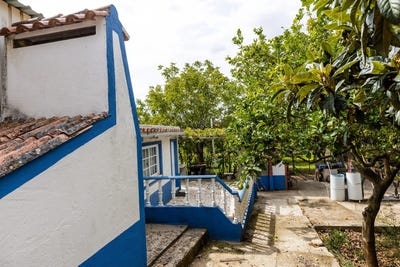 /international/pt/alverca-do-ribatejo-e-sobralinho-lisbon-310093886116/