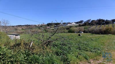 /international/pt/leiria-leiria-310100136623/