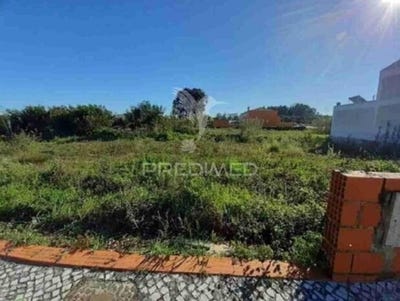 /international/pt/vagos-e-santo-antonio-vagos-aveiro-310108401482/