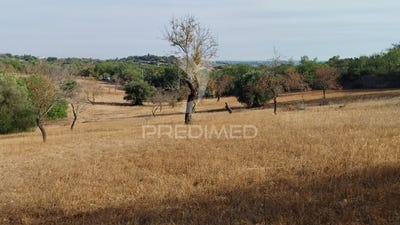 /international/pt/conceio-e-estoi-faro-faro-310102513026/