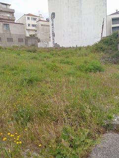 /international/pt/rua-forno-da-cal-de-santana-portugal-sesimbra-castelo-setubal-municipality-310107524179/