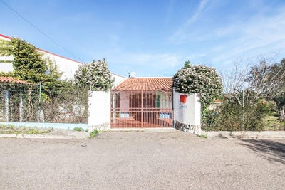 /international/pt/montargil-lisbon-310097186938/