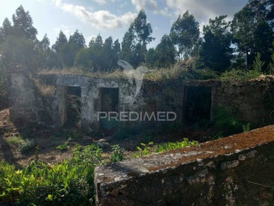 /international/pt/cossourado-barcelos-braga-310102038101/