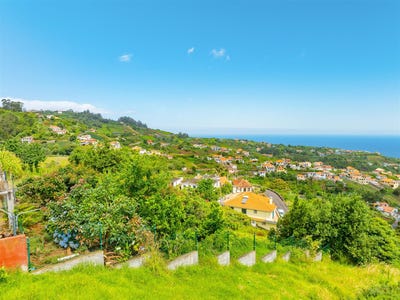 /international/pt/sao-jorge-madeira-310101654229/