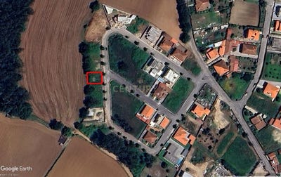 /international/pt/fradelos-braga-310101108306/?lang=en