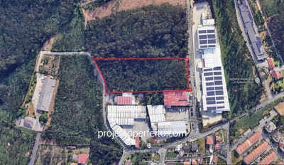 /international/pt/santa-maria-de-lamas-aveiro-310108633565/