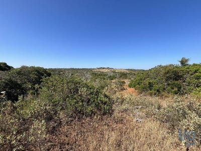 /international/pt/barao-de-sao-miguel-faro-310103180453/