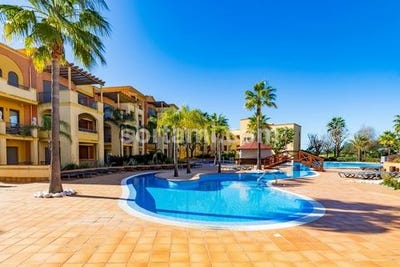 /international/pt/loule-faro-120094148224/