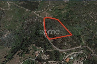 /international/pt/povoa-de-lanhoso-braga-120083060740/?lang=zh-tw