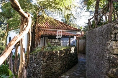 /international/pt/santana-madeira-310101497494/?lang=pt
