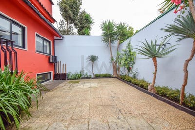 /international/pt/parede-lisbon-310095598646/