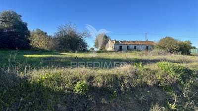 /international/pt/povoa-da-isenta-santarem-santarem-310103712895/