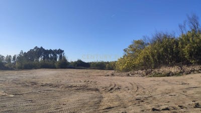 /international/pt/n16-19-6360-140-meimoa-portugal-ratoeira-guarda-310105965264/