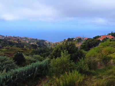 /international/pt/lombo-das-faias-ilha-da-madeira-madeira-310101598882/