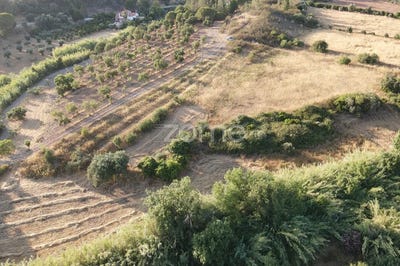 /international/pt/silves-faro-310100667061/
