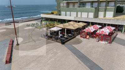 /international/pt/fao-braga-310108085319/