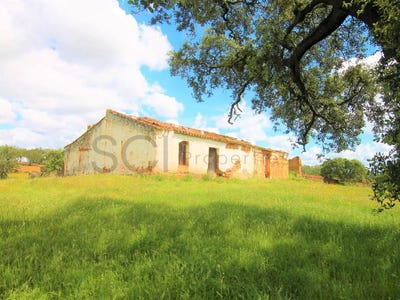 /international/pt/vila-verde-de-ficalho-beja-310106188706/
