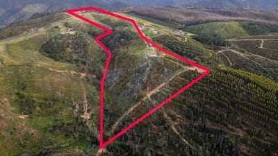 /international/pt/beja-beja-310098811632/