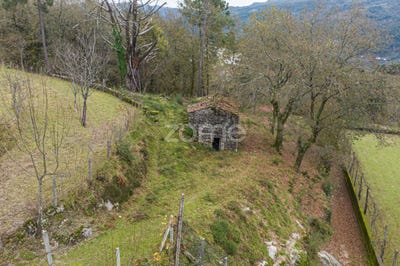 /international/pt/terras-de-bouro-braga-120088912256/?lang=zh-tw