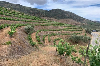 /international/pt/carrazeda-de-ansiaes-braganca-120085327951/