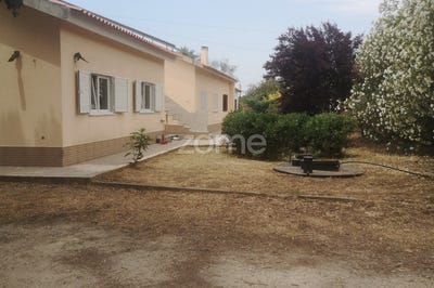 /international/pt/palmela-setubal-municipality-310101226429/