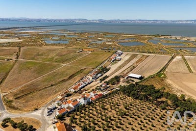/international/pt/setubal-setubal-municipality-310102433899/
