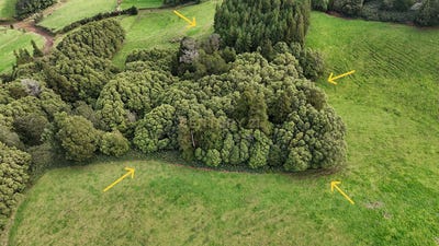 /international/pt/ilha-de-sao-miguel-azores-310098439425/