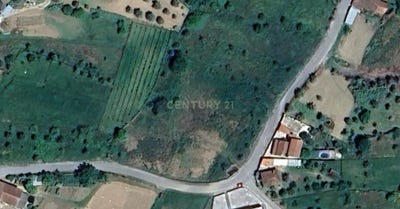/international/pt/arega-leiria-310100667657/