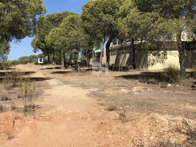/international/pt/loule-faro-310100484777/