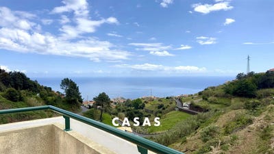 /international/pt/canhas-madeira-310108943303/?lang=it