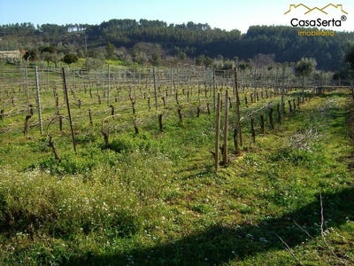 /international/pt/carvalhal-serta-porto-310096141510/