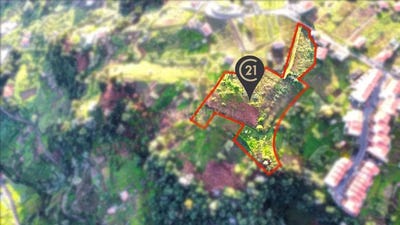 /international/pt/achada-ilha-da-madeira-madeira-310105100723/