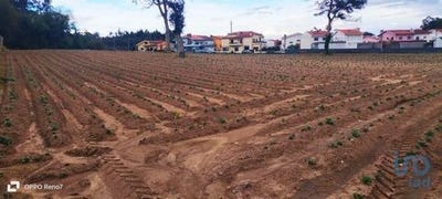 /international/pt/vila-do-conde-porto-120096362589/
