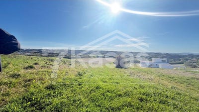 /international/pt/ribamar-lisbon-310106627766/