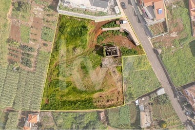 /international/pt/ponta-do-sol-madeira-310107186066/