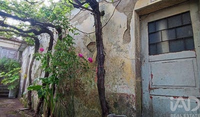 /international/pt/loivo-viana-do-castelo-310108292401/