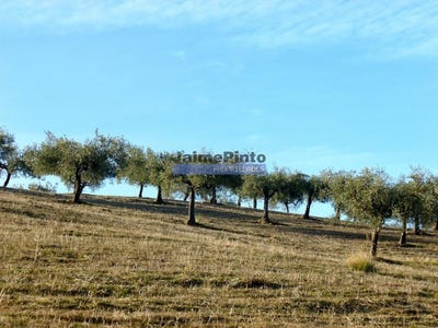 /international/pt/escalhao-guarda-310106836659/