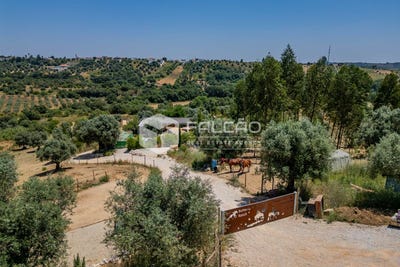 /international/pt/torres-novas-santarem-310100665150/?lang=zh-tw
