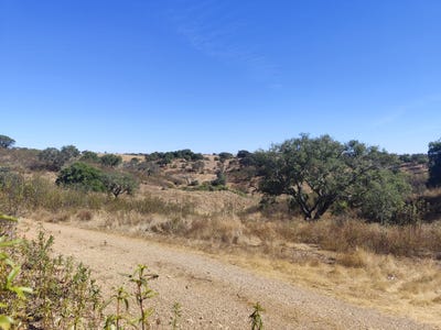 /international/pt/beja-beja-310102548407/