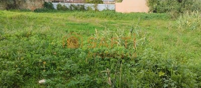 /international/pt/achete-santarem-310100488864/