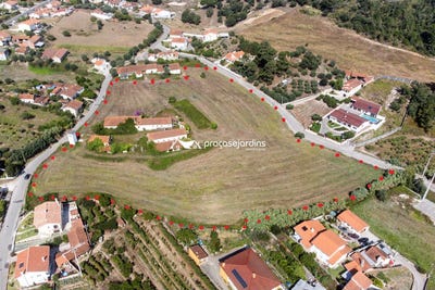 /international/pt/porto-de-mos-leiria-310106739216/