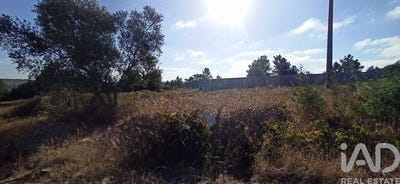 /international/pt/santarem-santarem-120086924058/