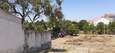 /international/pt/rua-cidade-de-santarem-alcanhoes-portugal-alcanhoes-santarem-310105026690/
