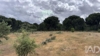 /international/pt/setubal-setubal-municipality-310107970809/