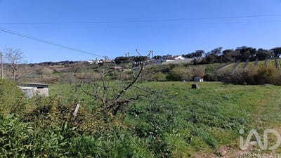 /international/pt/leiria-leiria-310100136623/