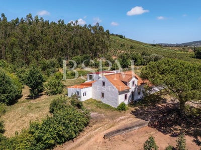/international/pt/a-dos-francos-leiria-310108996370/?lang=it