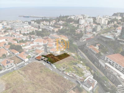 /international/pt/funchal-madeira-310101666998/