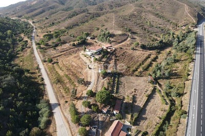 /international/pt/silves-faro-310108037187/