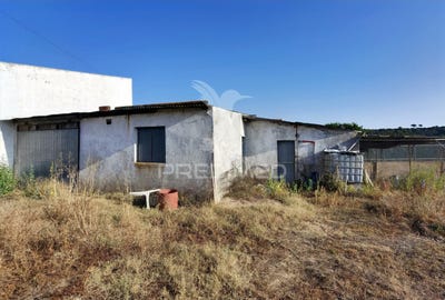 /international/pt/arneiro-das-milharicas-santarem-santarem-310094281758/